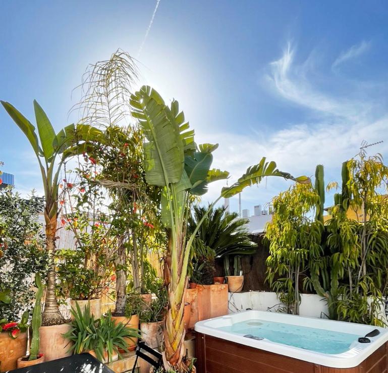 Alameda Modern Art House With Outdoor Jacuzzi In Roof